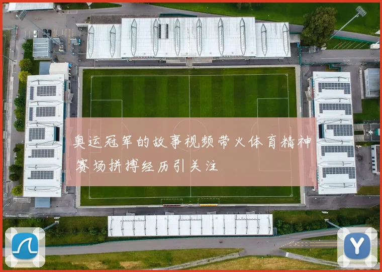 奥运冠军的故事视频带火体育精神 赛场拼搏经历引关注